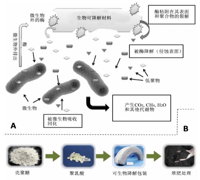 圖片1