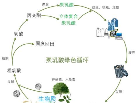 可降解物料是什么？有哪些類別及用途？